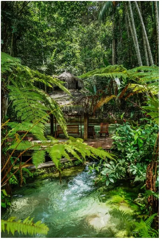 Lodge e riacho de água clara na floresta amazônica